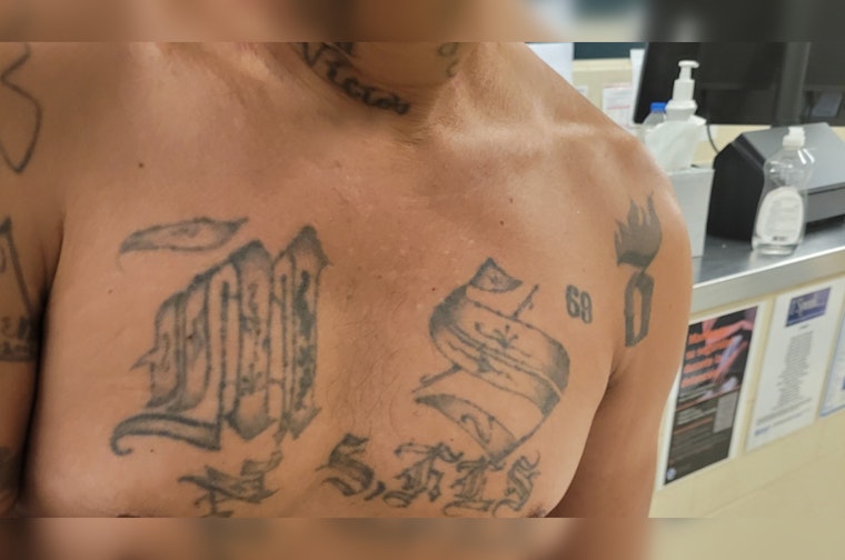 Detroit Border Patrol Arrests Alleged MS-13 Gang Member and Accomplice in Sterling Heights