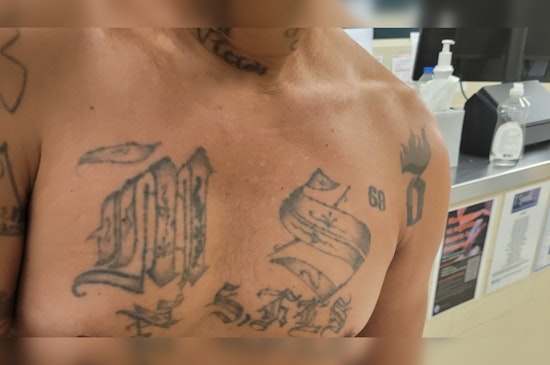 Detroit Border Patrol Arrests Alleged MS-13 Gang Member and Accomplice in Sterling Heights