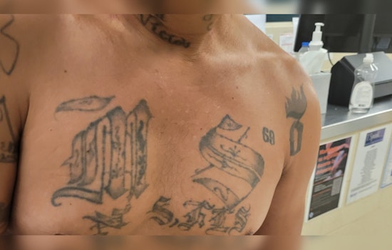 Detroit Border Patrol Arrests Alleged MS-13 Gang Member and Accomplice in Sterling Heights