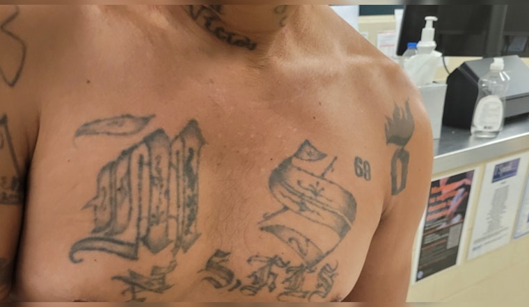 Detroit Border Patrol Arrests Alleged MS-13 Gang Member and Accomplice in Sterling Heights