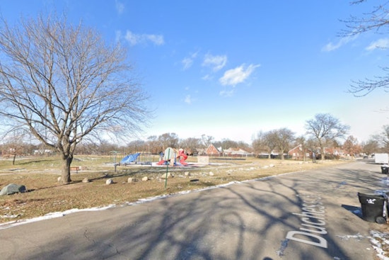Detroit in Mourning: Community Calls for Action After Child and Teen Killed in Skinner Park Shooting