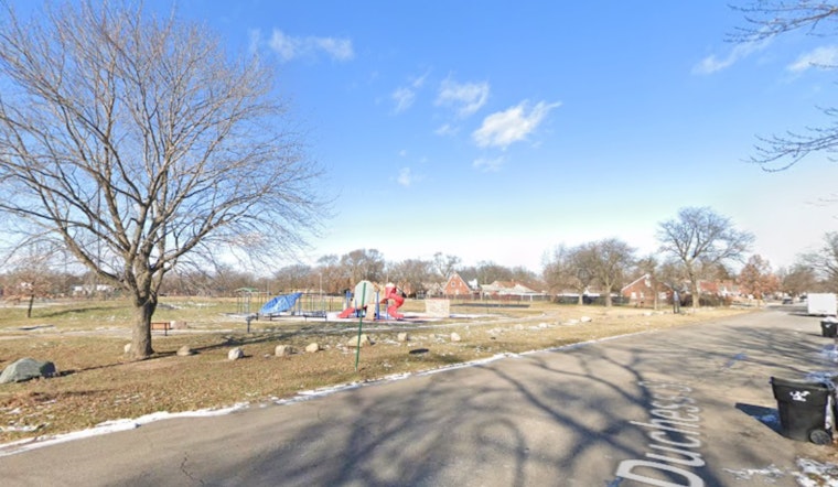Detroit in Mourning: Community Calls for Action After Child and Teen Killed in Skinner Park Shooting