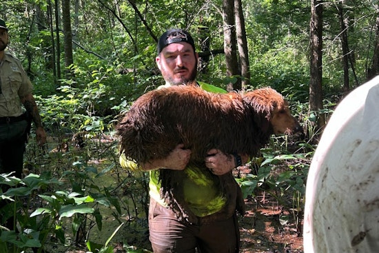 Diabetic Man and His Dog Rescued from Haywood County Woods After Nearly 24-Hour Search
