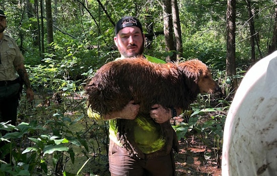 Diabetic Man and His Dog Rescued from Haywood County Woods After Nearly 24-Hour Search