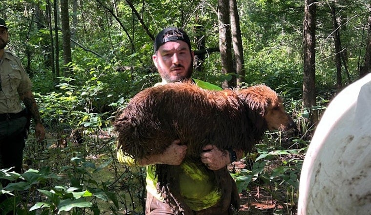 Diabetic Man and His Dog Rescued from Haywood County Woods After Nearly 24-Hour Search