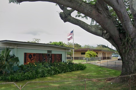 Discover Sustainable Gardening with Native Hawaiian Plants at Kōloa Library Event on July 18