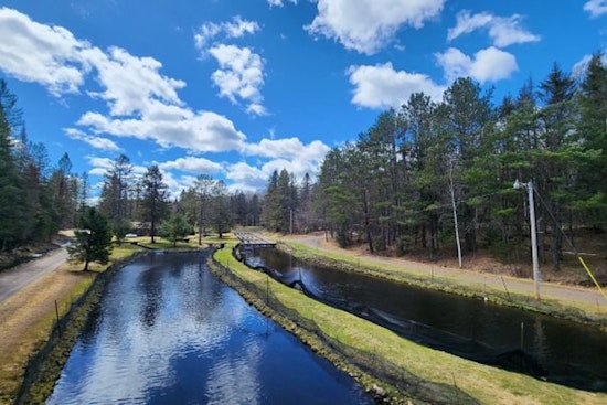 Discover the Great Outdoors for Free as Wisconsin DNR Hosts Family Fun Day at Brule State Fish Hatchery