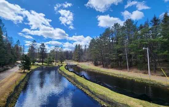 Discover the Great Outdoors for Free as Wisconsin DNR Hosts Family Fun Day at Brule State Fish Hatchery