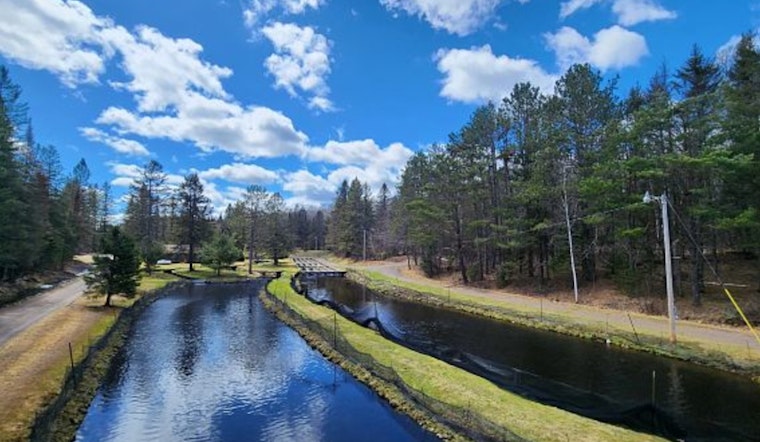Discover the Great Outdoors for Free as Wisconsin DNR Hosts Family Fun Day at Brule State Fish Hatchery