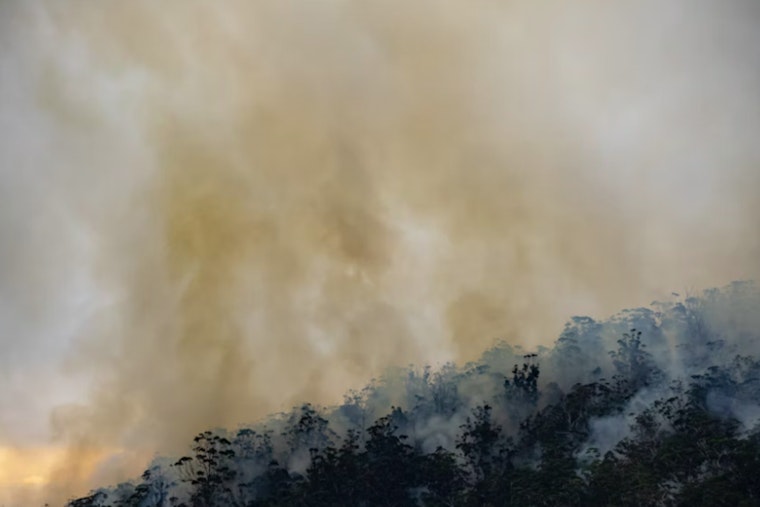 DNR Seeks Public Assistance to Probe Human-Caused Wildfire Near Cle Elum in Kittitas County