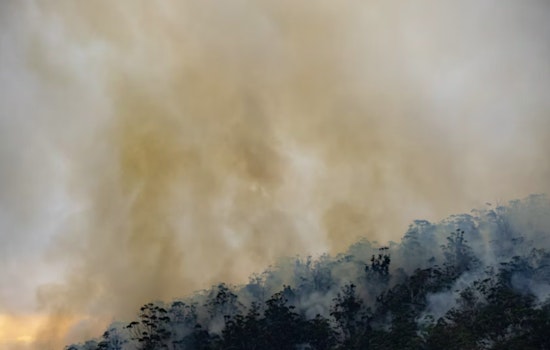 DNR Seeks Public Assistance to Probe Human-Caused Wildfire Near Cle Elum in Kittitas County