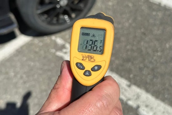 Dog Dies in Overheated Car in Brighton During Heatwave, Police Issue Stark Warning