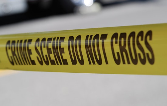 Double Homicide Shocks the Bronx as Two Men Killed in Early Morning Ferry Point Park Shooting