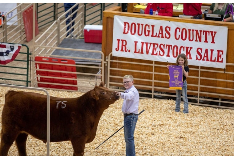 Douglas County Celebrates Tradition with In-Person Junior Livestock Sale, No Virtual Component This Year