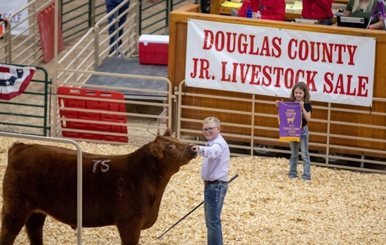 Douglas County Celebrates Tradition with In-Person Junior Livestock Sale, No Virtual Component This Year