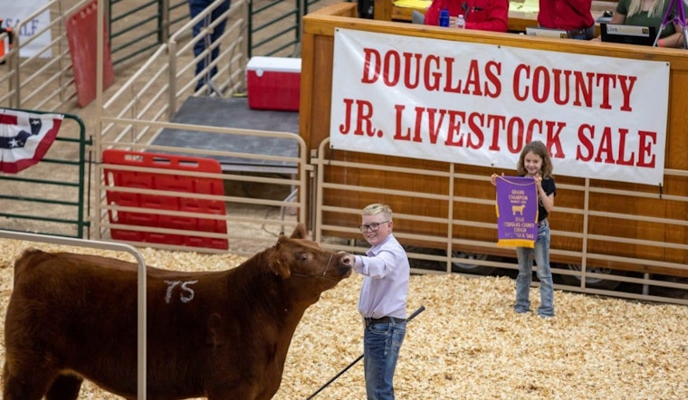 Douglas County Celebrates Tradition with In-Person Junior Livestock Sale, No Virtual Component This Year