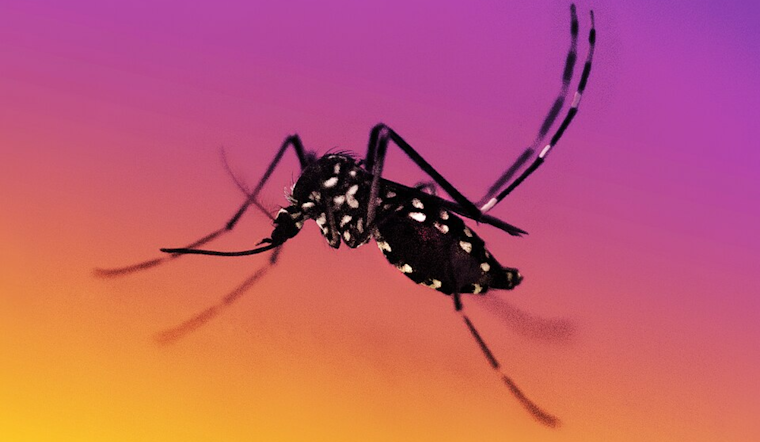 Dublin Gears Up for Mosquito Spraying in Multiple Zones Ahead of Irish Festival at Coffman Park