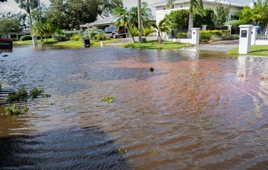 Dunedin, Florida Launches Citizen Flood Quiz to Enhance Community Preparedness for Natural Disasters