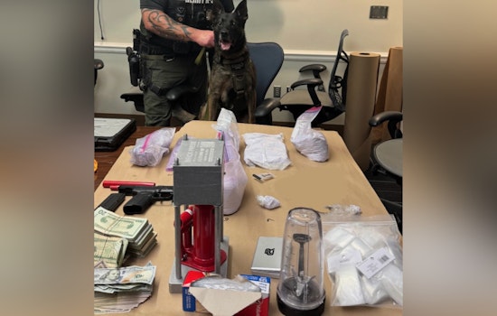 Durham and Wake County Authorities Seize 4.8 Kilograms of Deadly Fentanyl in Joint Operation