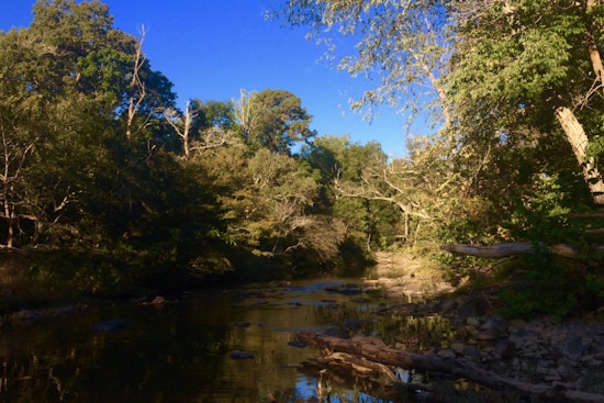 Durham Grapples with Environmental Crisis as 7 Million Gallons of Wastewater Spill into Eno River After Storm