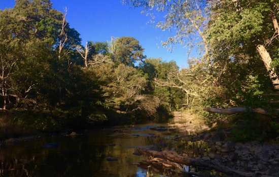 Durham Grapples with Environmental Crisis as 7 Million Gallons of Wastewater Spill into Eno River After Storm
