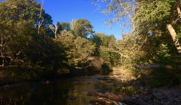Durham Grapples with Environmental Crisis as 7 Million Gallons of Wastewater Spill into Eno River After Storm