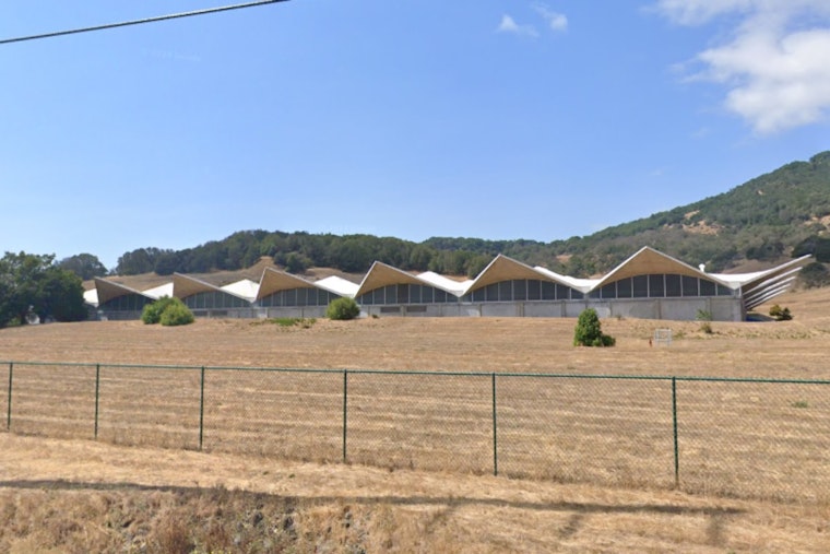 Eames Institute Acquires Historic Birkenstock Campus in Novato to Create World-Class Art and Design Hub