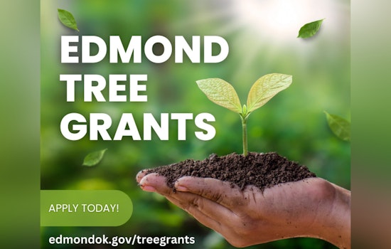 Edmond Offers Free Trees to Local Neighborhoods and Schools in an Effort to Green the City