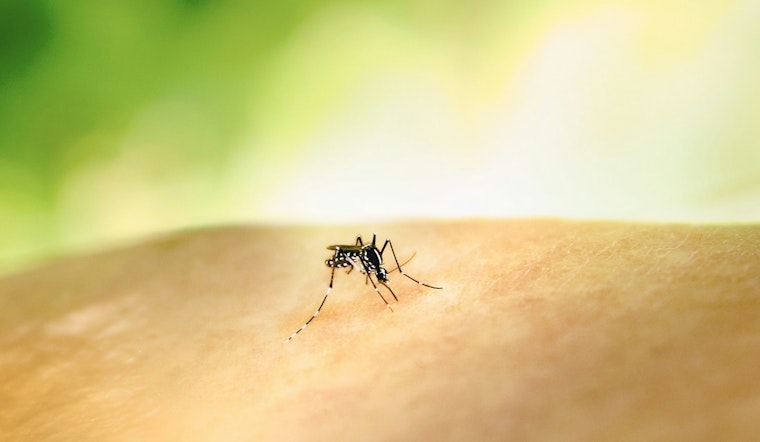 EEE Virus Detected in Mosquito Sample in Bridgewater, Massachusetts Amid Public Health Alert