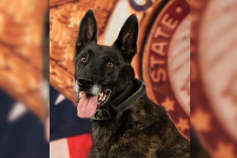 El Paso County Sheriff’s Office Celebrates Retirement of Esteemed K9 Knox After 7 Years of Service