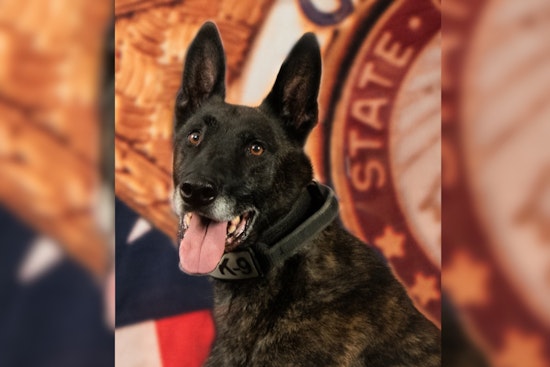 El Paso County Sheriff’s Office Celebrates Retirement of Esteemed K9 Knox After 7 Years of Service