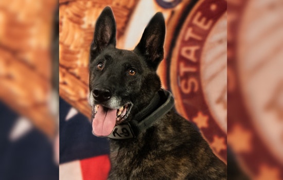 El Paso County Sheriff’s Office Celebrates Retirement of Esteemed K9 Knox After 7 Years of Service