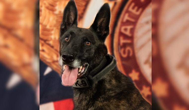 El Paso County Sheriff’s Office Celebrates Retirement of Esteemed K9 Knox After 7 Years of Service