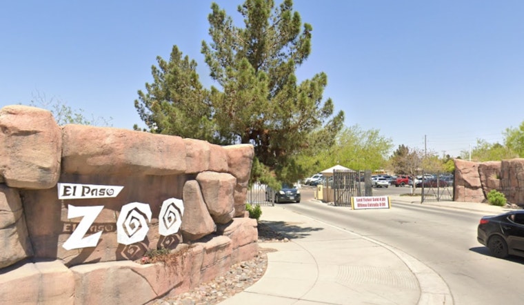 El Paso Zoo Celebrates Spring with Birth of Endangered Species, Bolsters Conservation Efforts