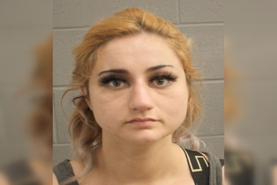 Eleni McLin Identified as Suspect in $15K Harris County Public Storage Break-In