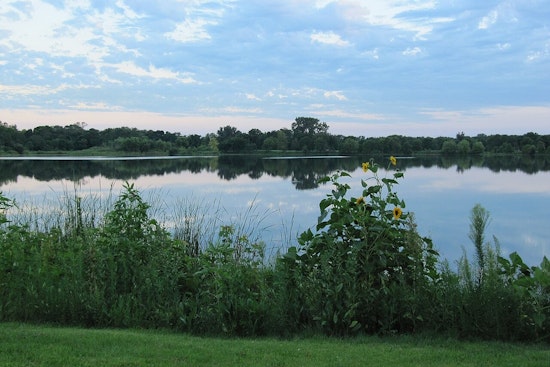 Elevated E. coli Levels Prompt Temporary Closure of Two Minneapolis Beaches