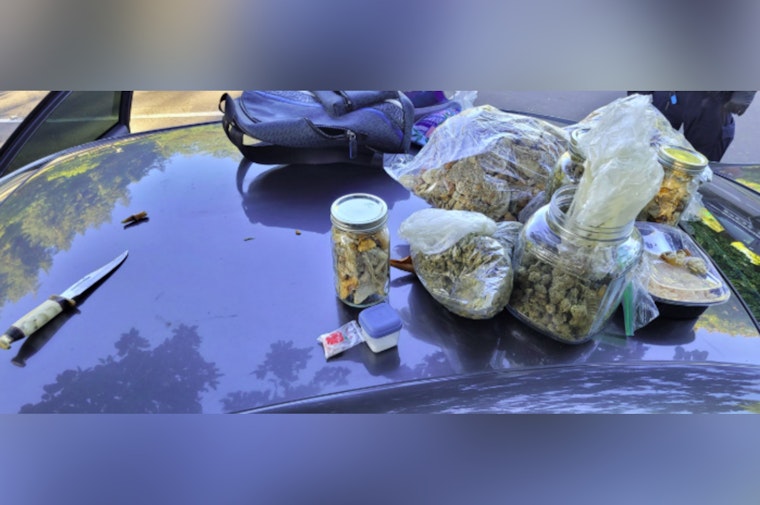 Eugene Police Arrest 19-Year-Old on Drug and Firearm Charges at Skinner Butte Park