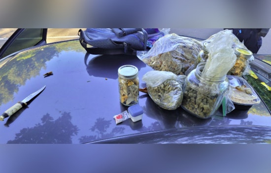 Eugene Police Arrest 19-Year-Old on Drug and Firearm Charges at Skinner Butte Park