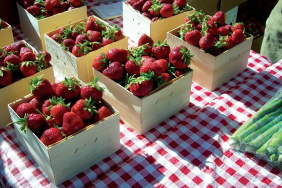 Experience the Essence of Summer at the Bloomington Farmers Market Every Saturday