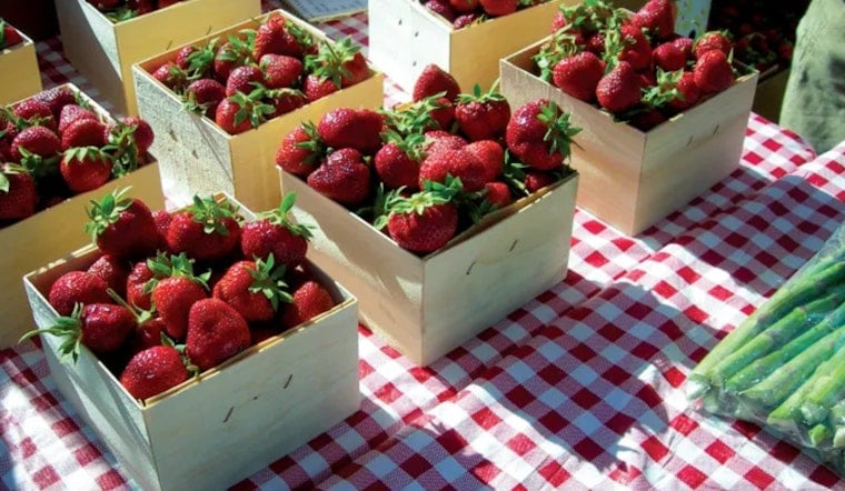Experience the Essence of Summer at the Bloomington Farmers Market Every Saturday