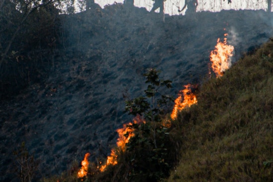 Firefighters Quell 47-Acre Brush Fire Near Castaic, No Structures Damaged or Injuries Reported