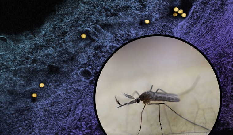 First Case of West Nile Virus in 2025 Reported in Durham County, North Carolina