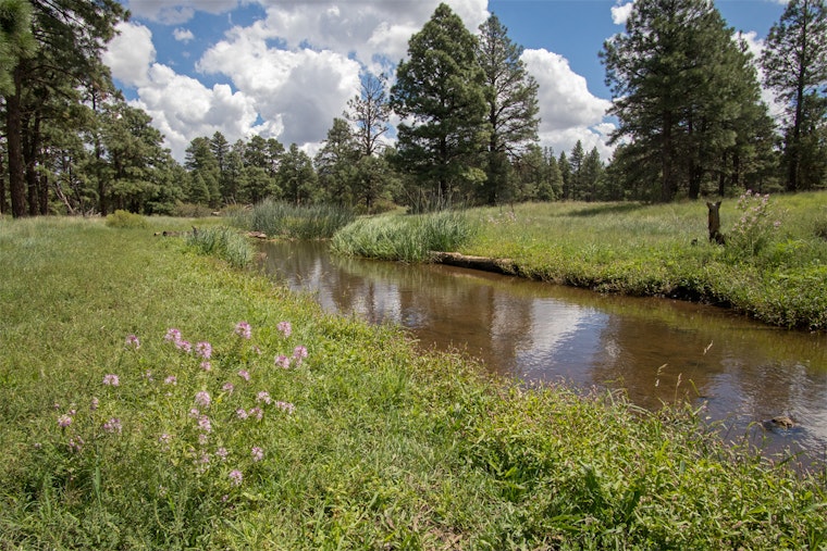 Flagstaff Forest Restoration Efforts Ramp Up to Protect Upper Rio de Flag Watershed from Wildfires and Floods