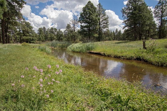 Flagstaff Forest Restoration Efforts Ramp Up to Protect Upper Rio de Flag Watershed from Wildfires and Floods