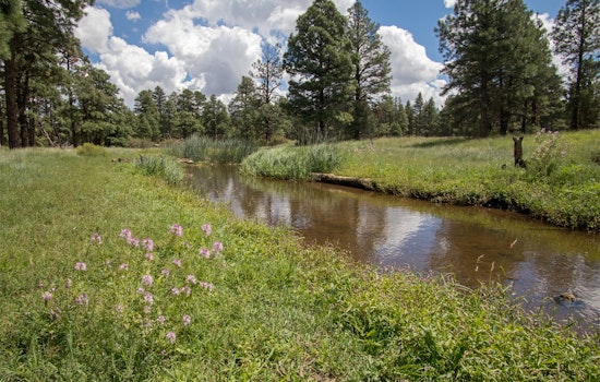 Flagstaff Forest Restoration Efforts Ramp Up to Protect Upper Rio de Flag Watershed from Wildfires and Floods