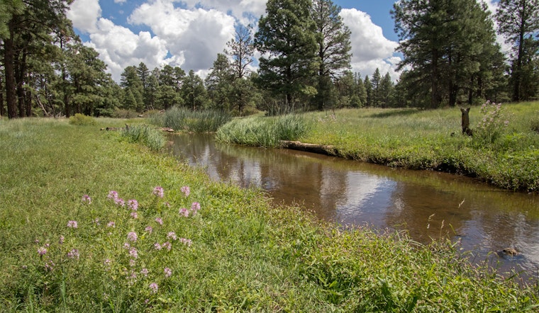 Flagstaff Forest Restoration Efforts Ramp Up to Protect Upper Rio de Flag Watershed from Wildfires and Floods