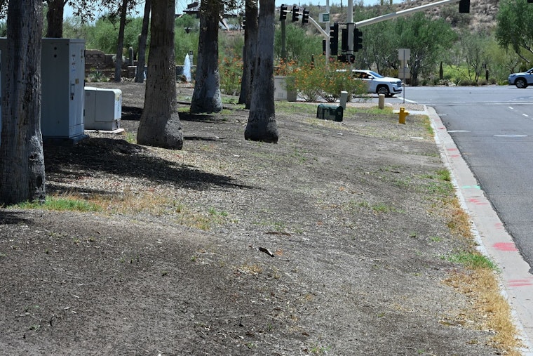 Fountain Hills Launches Turf Conversion for Water Conservation, Saving 1.7M Gallons Annually