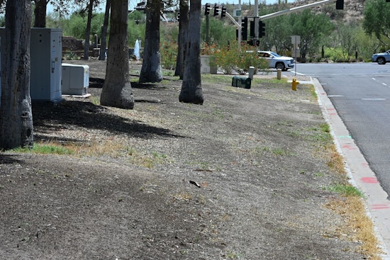 Fountain Hills Launches Turf Conversion for Water Conservation, Saving 1.7M Gallons Annually