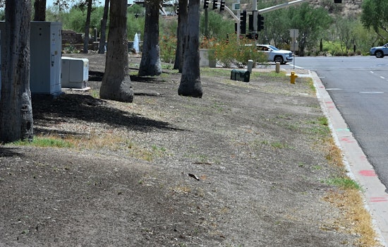 Fountain Hills Launches Turf Conversion for Water Conservation, Saving 1.7M Gallons Annually