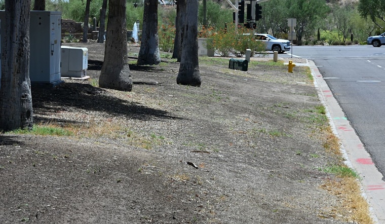 Fountain Hills Launches Turf Conversion for Water Conservation, Saving 1.7M Gallons Annually
